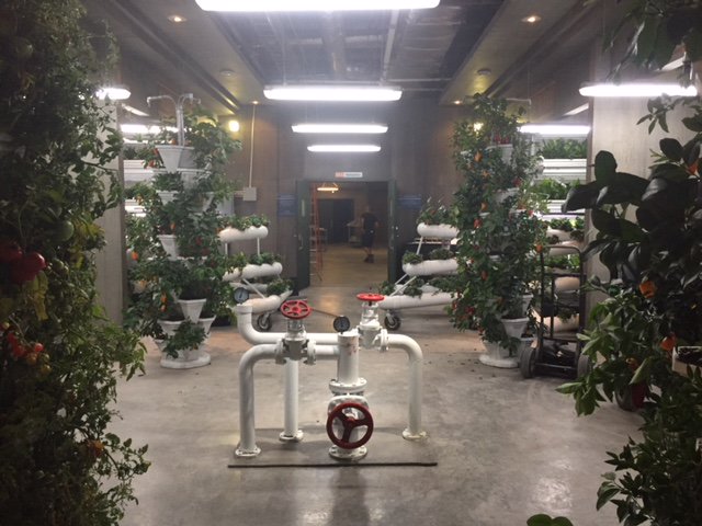 “I intend to speak of forms changed into new entities…”